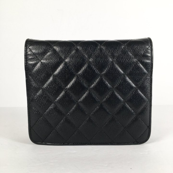 Chanel Square Wallet on Chain (WOC) - Luxe Du Jour
