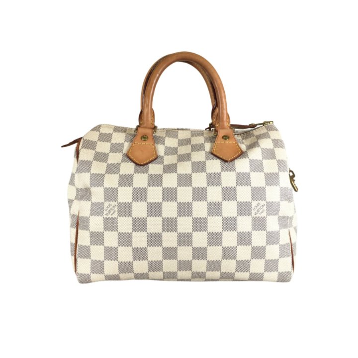 Louis Vuitton Speedy 25 - Luxe Du Jour
