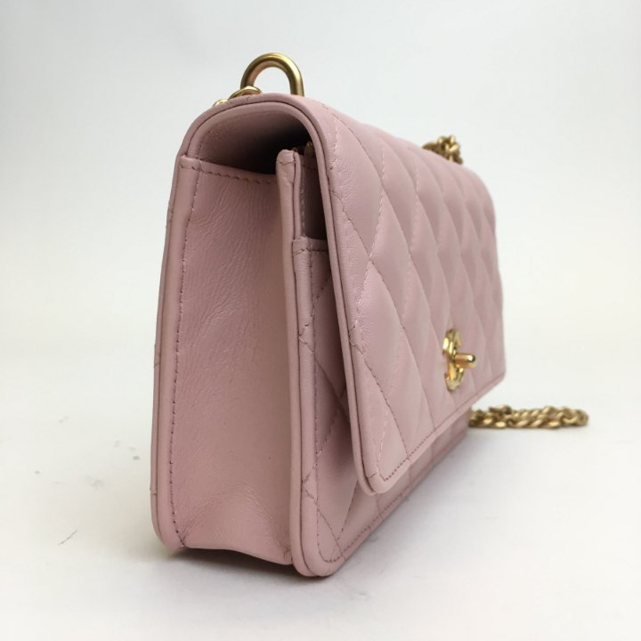 Chanel Wallet On Chain (WOC) - Luxe Du Jour