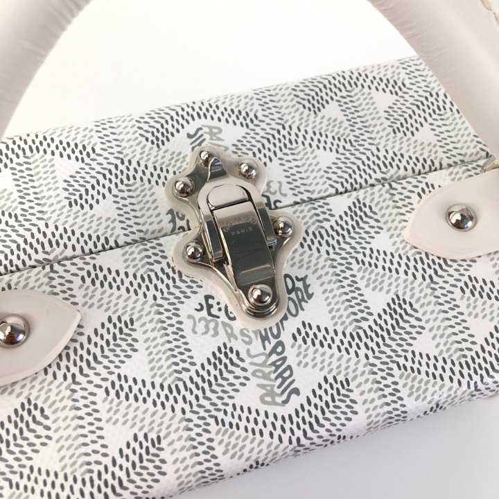 Goyard Trunk - Luxe Du Jour