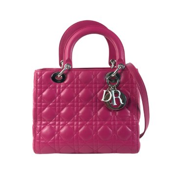 美品】LADY DIOR 限定品！ - バッグ