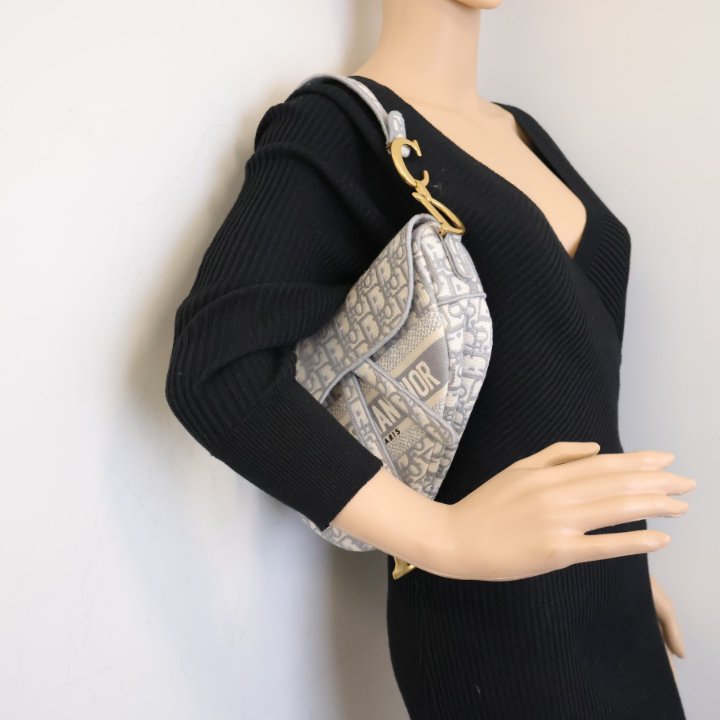 【DIOR】SADDLE BAG Dior Saddle Bag - Luxe Du Jour