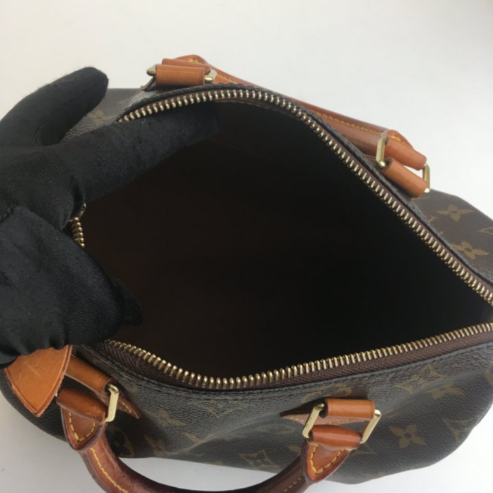 Louis Vuitton Speedy 25 - Luxe Du Jour