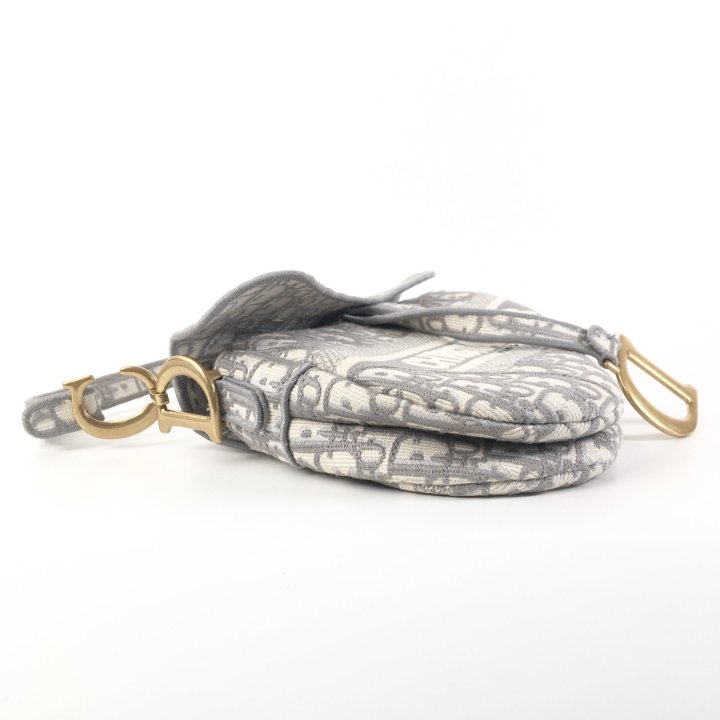Dior Medium Saddle Bag - Luxe Du Jour