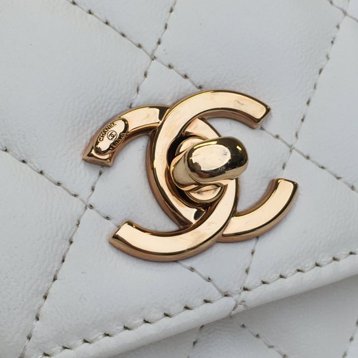 Chanel Mini Trendy CC Wallet On Chain (WOC) - Luxe Du Jour