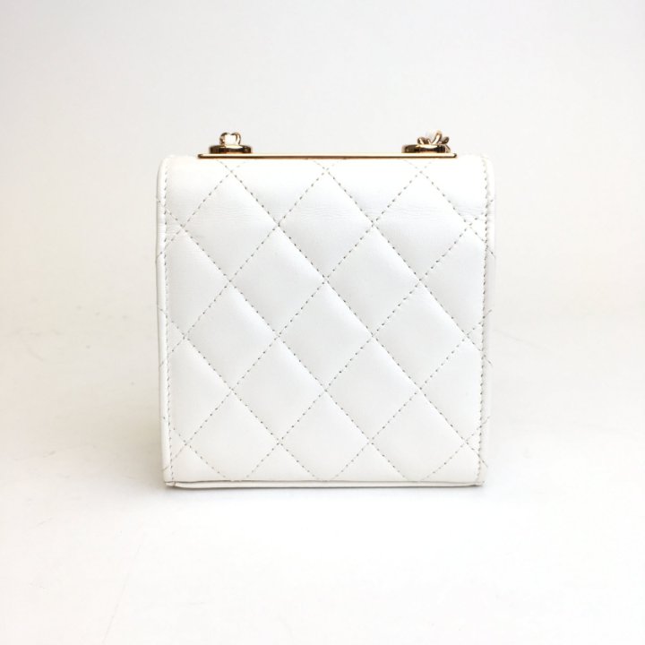 Chanel Mini Trendy CC Wallet On Chain (WOC) - Luxe Du Jour