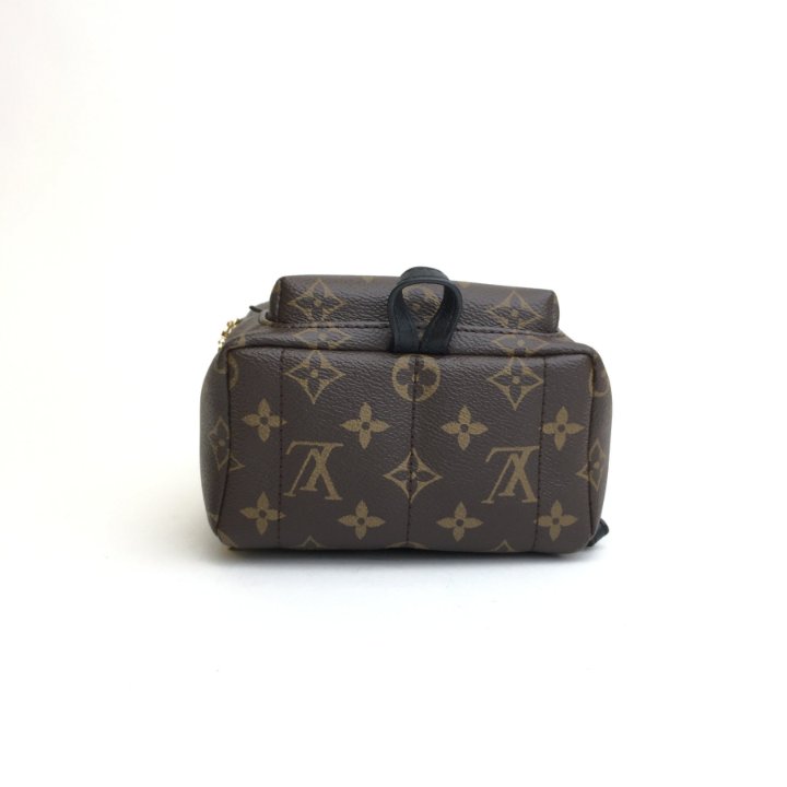 【LV Ski】LOUIS VUITTON★Paim Springs Mini バックパック Louis Vuitton Mini Palm Springs Backpack - Luxe Du Jour
