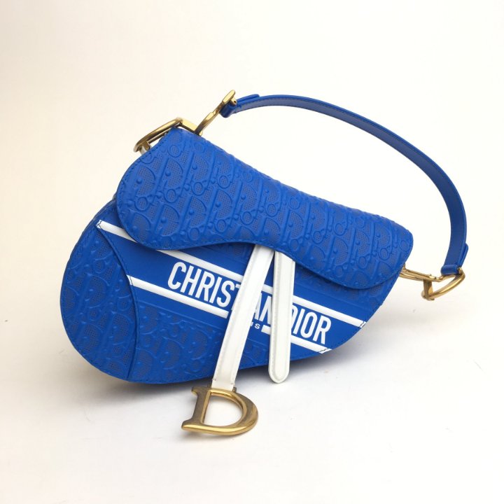 Dior Medium Perforated Calfskin Oblique Saddle Bag - Luxe Du