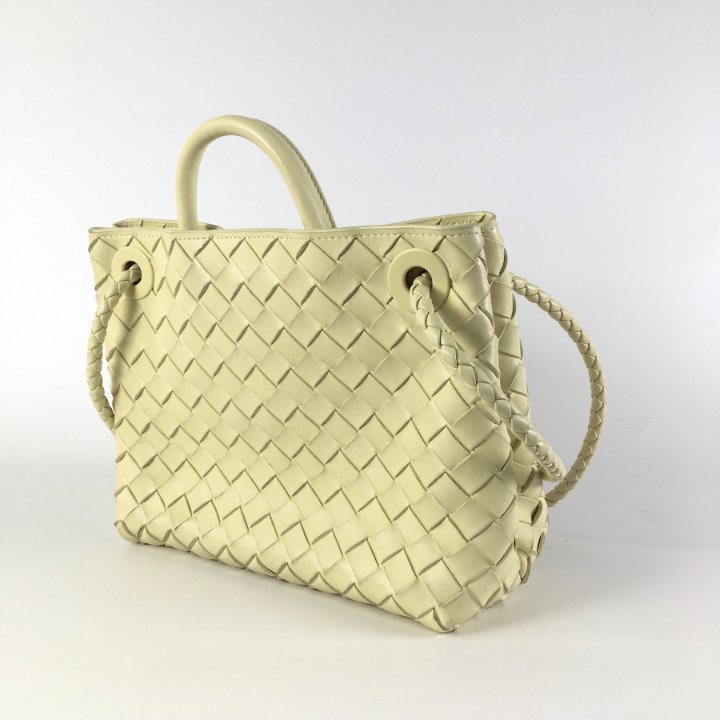 Bottega Veneta Andiamo Small - Luxe Du Jour