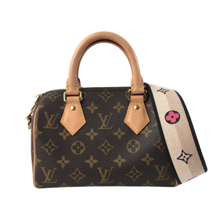 Louis Vuitton Speedy 20 Luxe Du Jour - Main Image