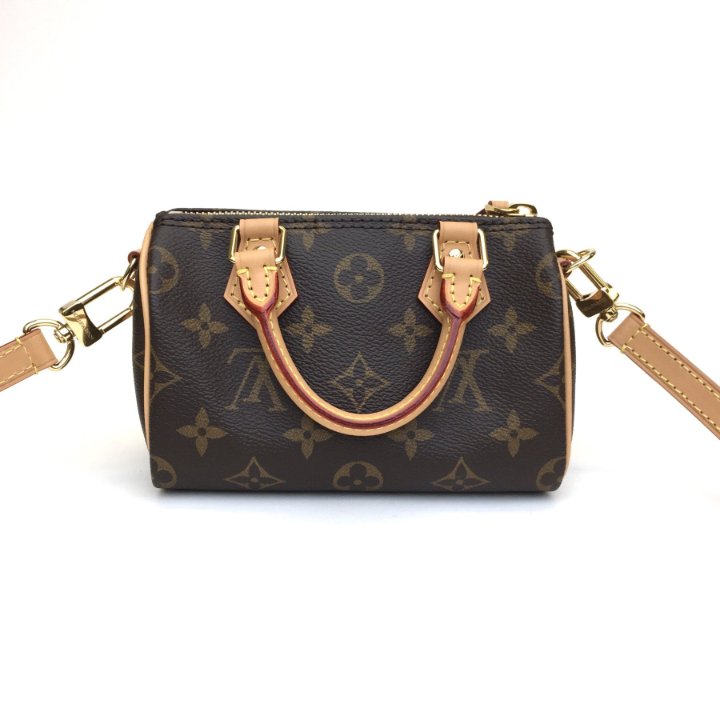 Louis Vuitton Nano Speedy Luxe Du Jour