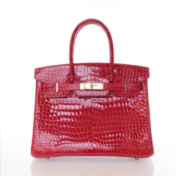 Hermes Braise Porosus Crocodile Birkin 30