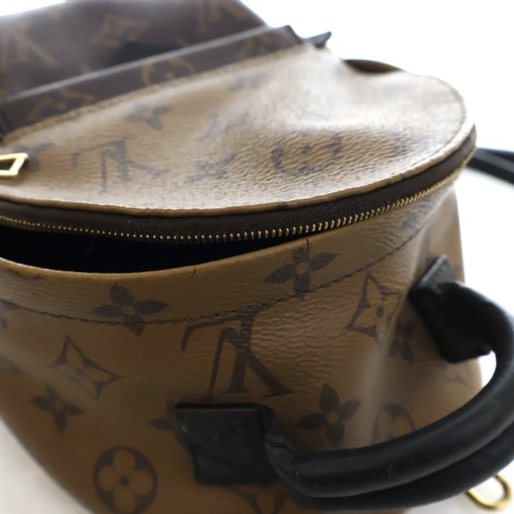 ルイ・ヴィトン PALM SPRINGS REVERSEミニバックパック EV0012 Louis Vuitton Reverse Monogram Palm Springs Mini Backpack
