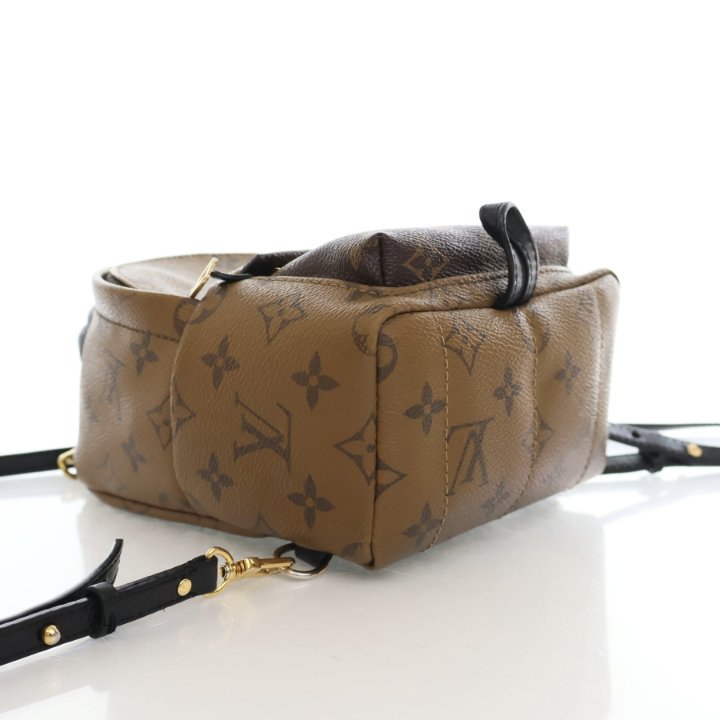Louis Vuitton Monogram Reverse Palm Springs Mini - Luxe Du Jour display picture 2