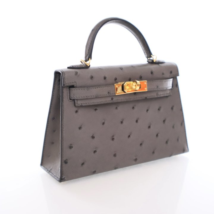 小物 HERMES Hermes Mini Kelly 20 Graphite Ostrich - Luxe Du Jour
