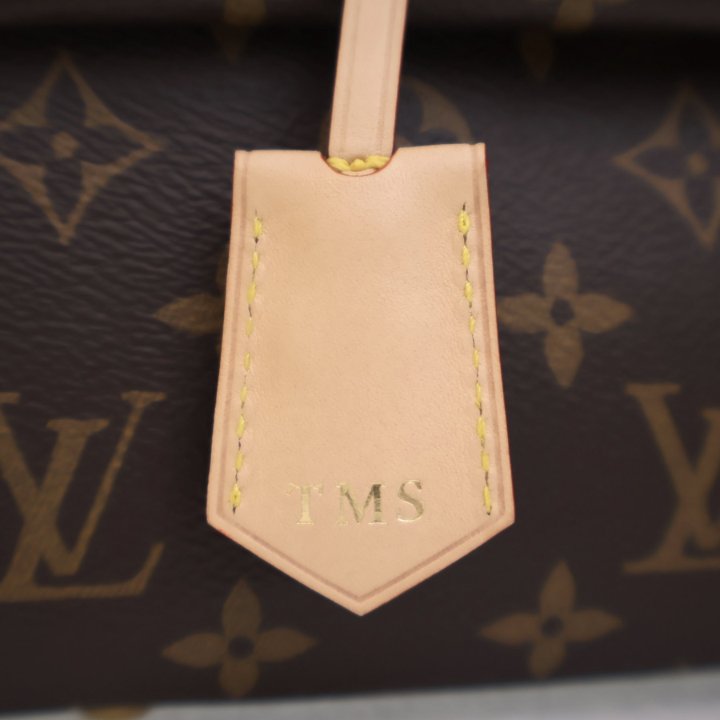 Louis Vuitton Cluny Mini - Luxe Du Jour display picture 1
