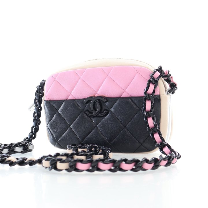 CHANELバック Chanel Camera Crossbody Bag Multicolor Lambskin - Luxe Du Jour