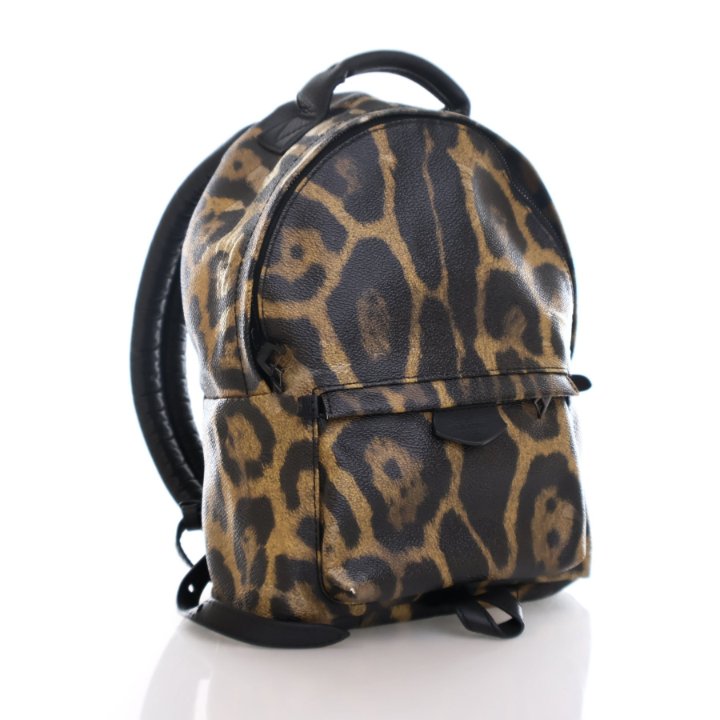 louis vuitton backpack handbag Backpacks Collection for Bags and Small Leather Goods