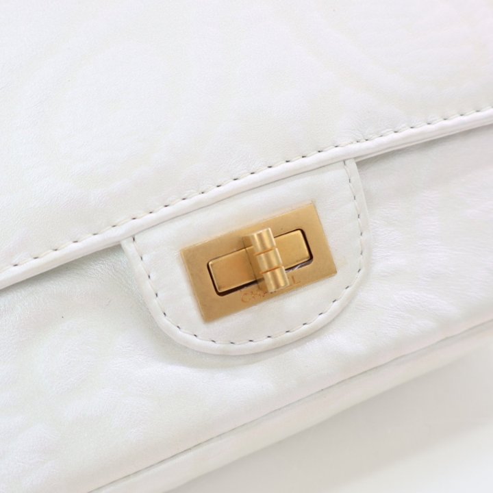 Chanel Mini Lambskin Iridescent Floral Embossed Reissue 2.55 Flap