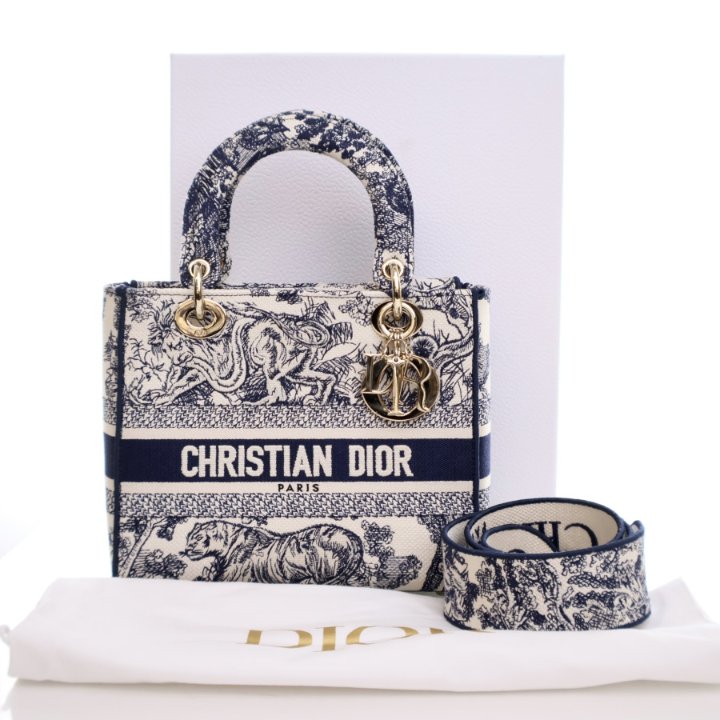 Dior Lady D-Lite Medium - Luxe Du Jour