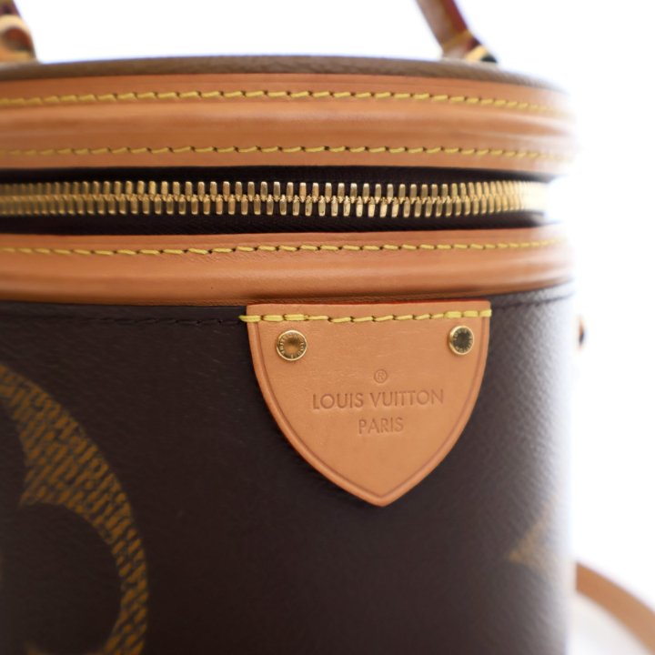 Louis Vuitton Cannes Bag - Luxe Du Jour