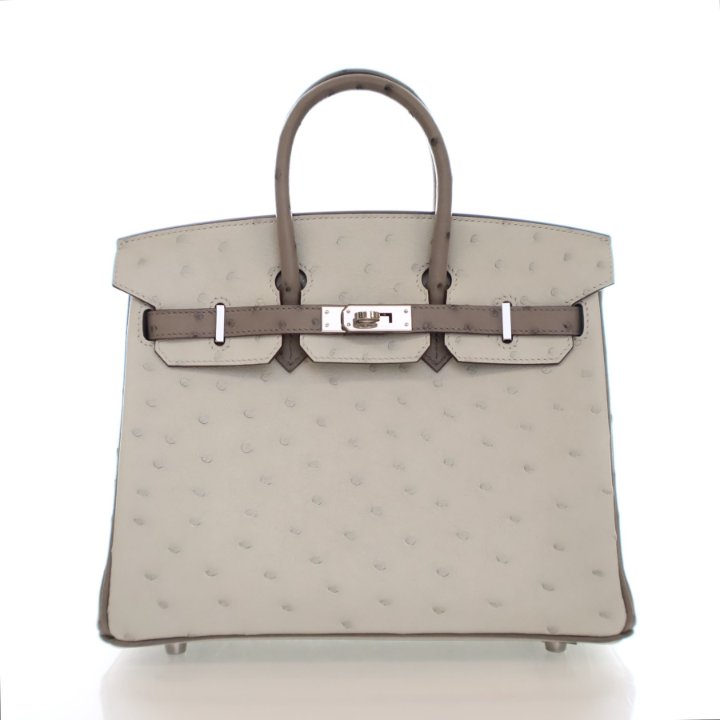 Hermes Gris Perle Ostrich Birkin 25 - Luxe Du Jour