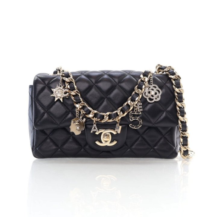Chanel coco charms bag 2025