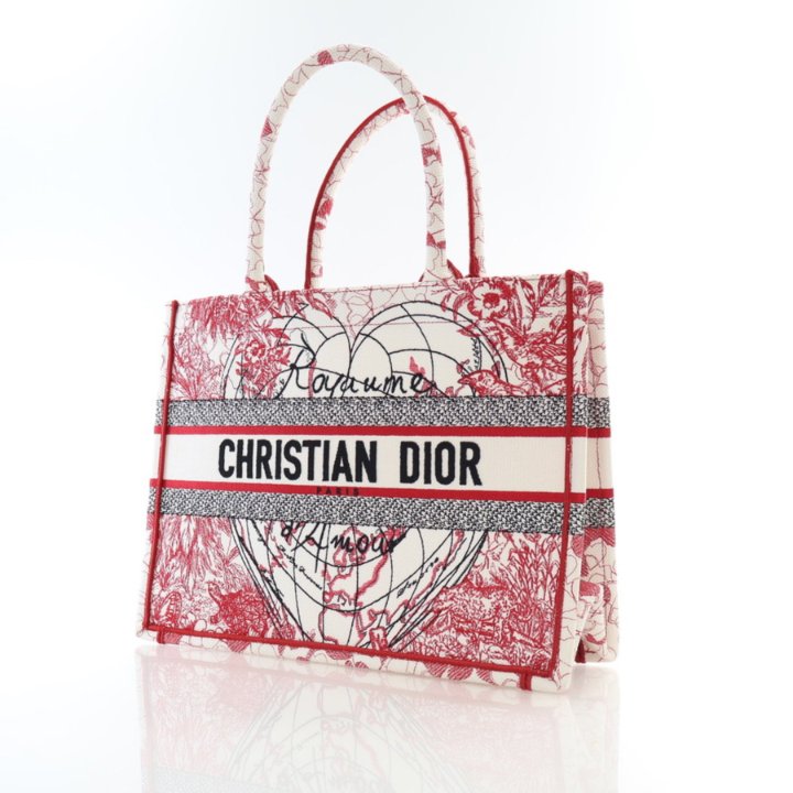 Dior Medium Canvas Book Tote Luxe Bag Rental