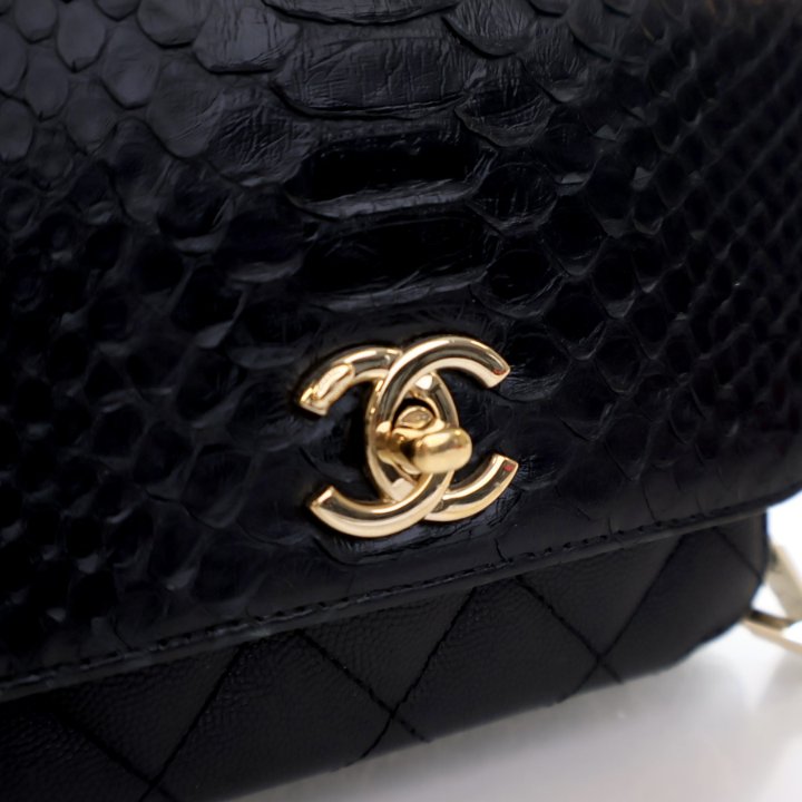 CHANEL シャネル パイソン Chanel Timeless Rectangular Python Mini Python Skin Silver