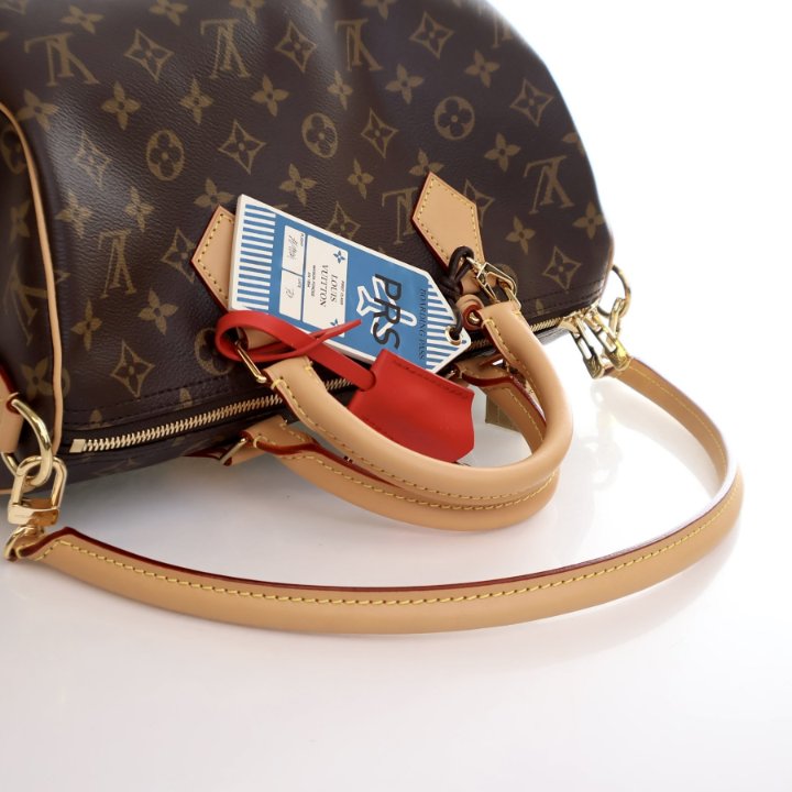 Louis Vuitton Monogram Speedy Soft Crafty 30 - Luxe Du Jour