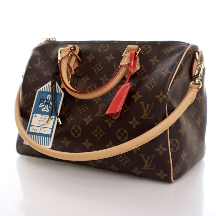 Louis Vuitton Monogram Speedy Soft Crafty 30 - Luxe Du Jour