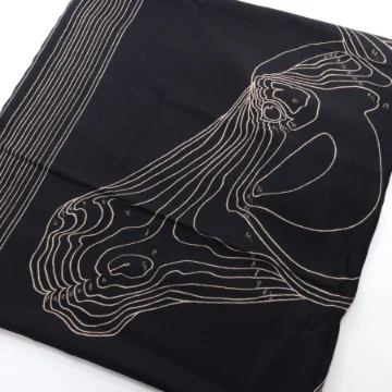 Hermes Paysage Shawl