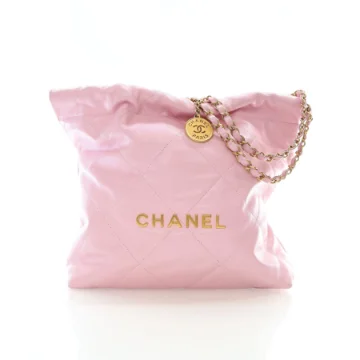 Chanel Small Pink Calfskin 22 Hobo