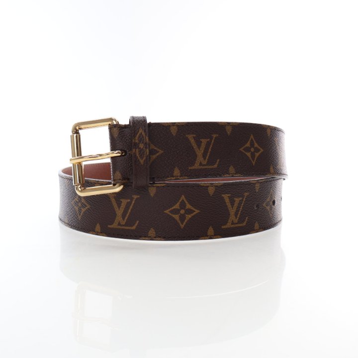 Louis Vuitton Monogram Pochette Duo Belt Bag - Luxe Du Jour display picture 1