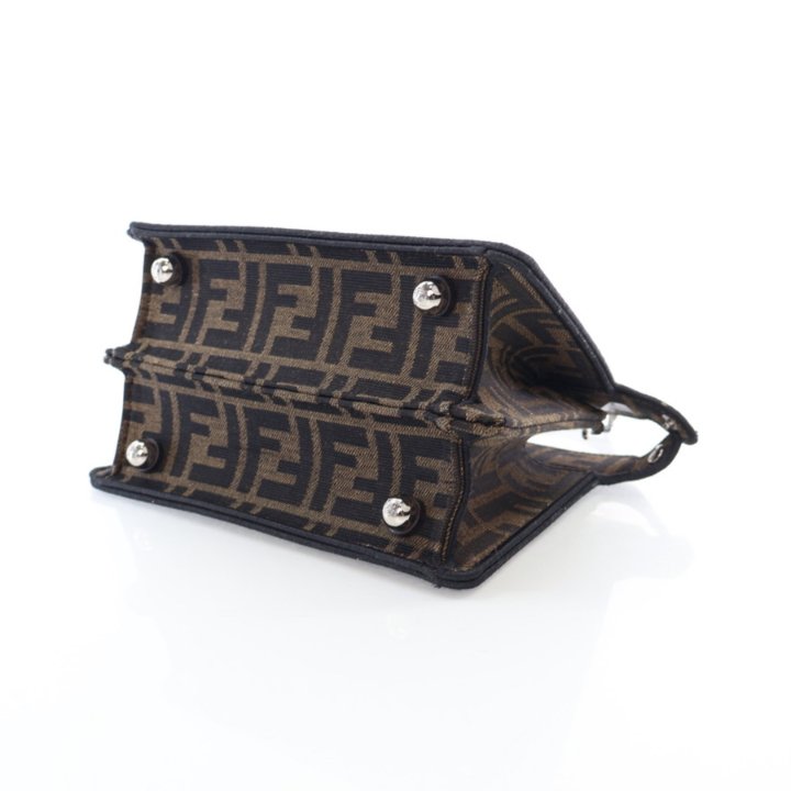 Fendi x FRGMT x Pokemon Petite Dratini 1974 Zucca Peekaboo ISeeYou