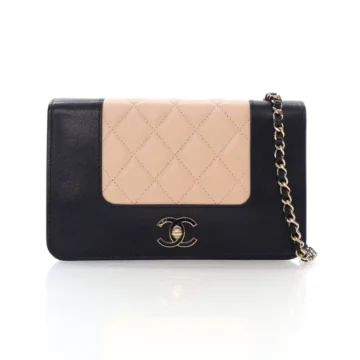 Chanel Bicolor Sheepskin Madamoiselle Wallet On Chain (WOC)