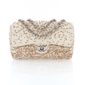 Chanel Small Beige Raffia Sequin Single Flap Bag