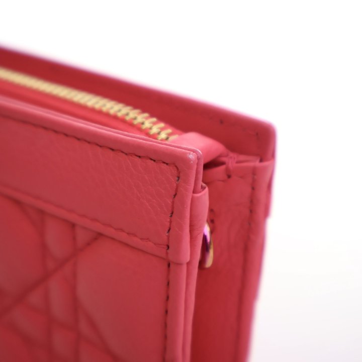 Dior Calfskin Caro Every Dior Pouch - Luxe Du Jour