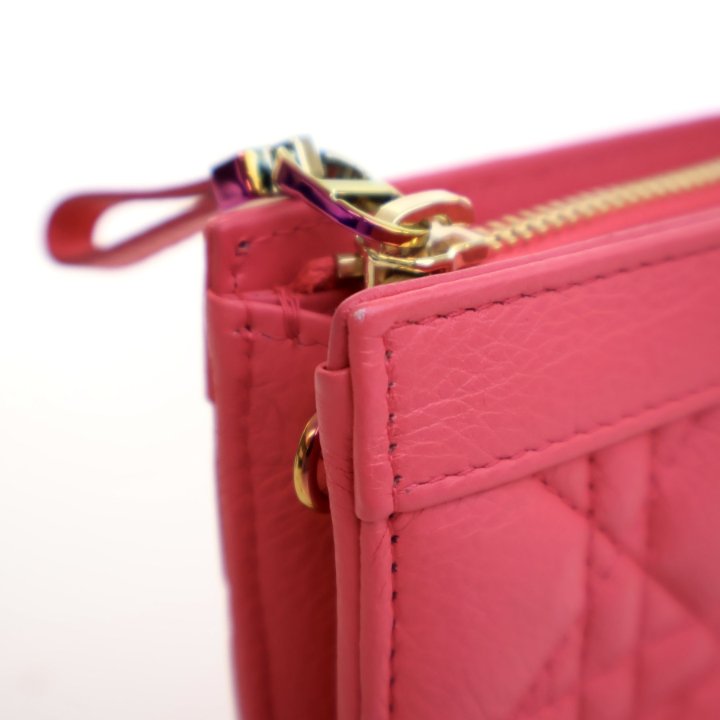 Dior Calfskin Caro Every Dior Pouch - Luxe Du Jour