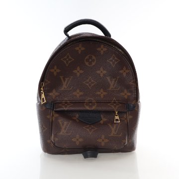 Louis Vuitton Monogram Palm Springs Mini - Luxe Du Jour