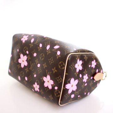 Louis Vuitton x Takashi Murakami Monogram Cherry Blossom Speedy