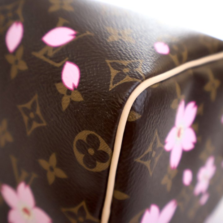 Louis Vuitton x Takashi Murakami Monogram Cherry Blossom Speedy