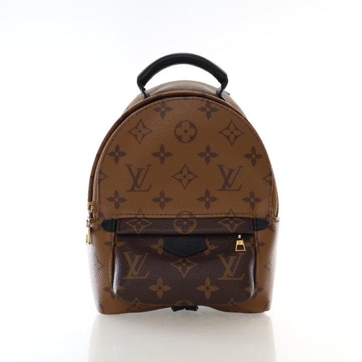 Louis Vuitton Reverse Monogram Palm Springs Mini - Luxe Du Jour display picture 3