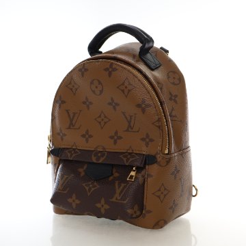 Louis Vuitton Reverse Monogram Palm Springs Mini - Luxe Du Jour display picture 3