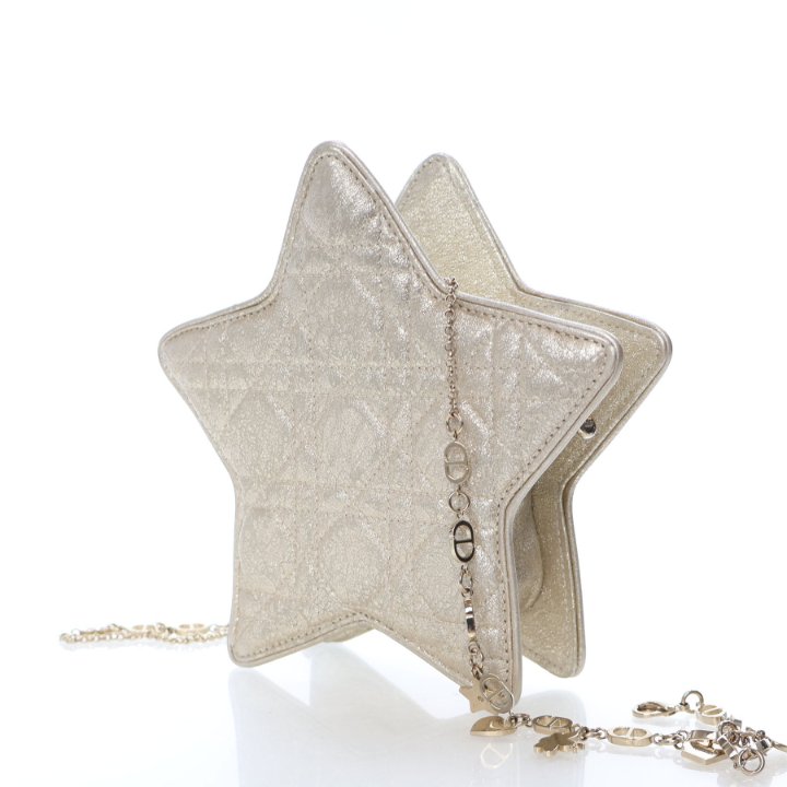 Dior star gold lambskin bookbag What Fits In My Dior Stardust Backpack - Travel Essentials  main image 3