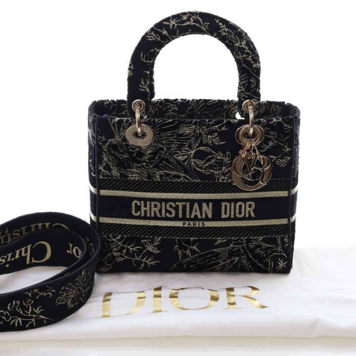 Christian Dior Medium Embroidered Lady D-Lite - Luxe Du Jour