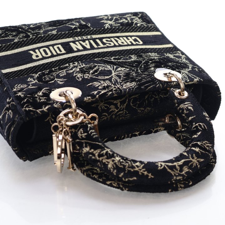 Christian Dior Medium Embroidered Lady D-Lite - Luxe Du Jour
