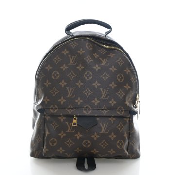 Louis Vuitton Palm Springs MM Louis Vuitton Palm Springs Mini Backpack Monogram ?? Made  main image 3