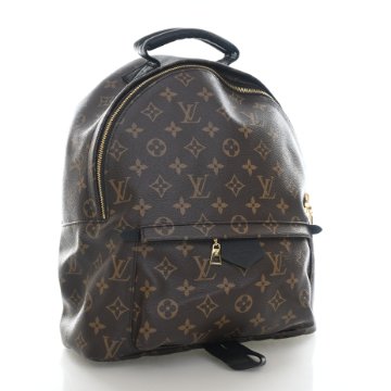 Louis Vuitton Palm Springs MM Handbag - Brown Monogram Gold  display picture 1