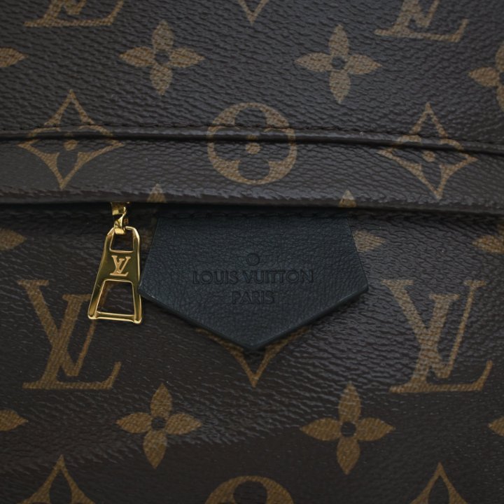 Louis Vuitton Palm Springs MM Handbag - Brown Monogram Gold  display picture 1